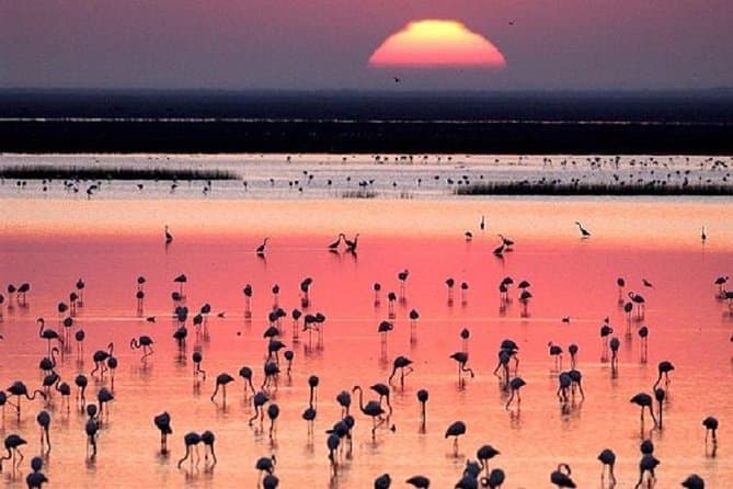 Doñana Nationalpark