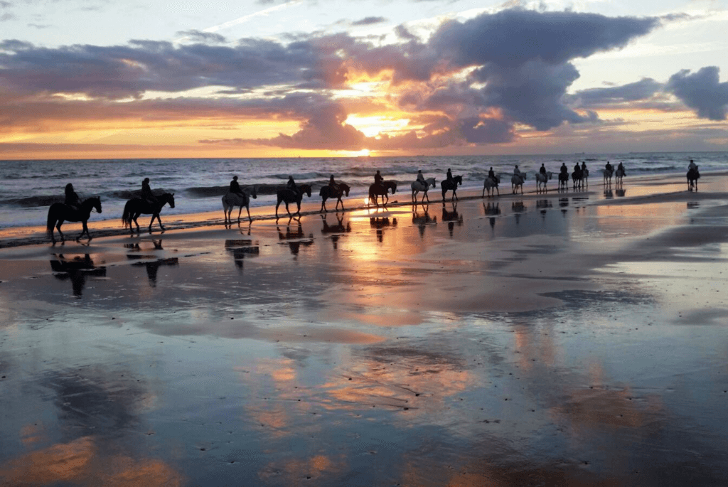 Doñana Nationalpark