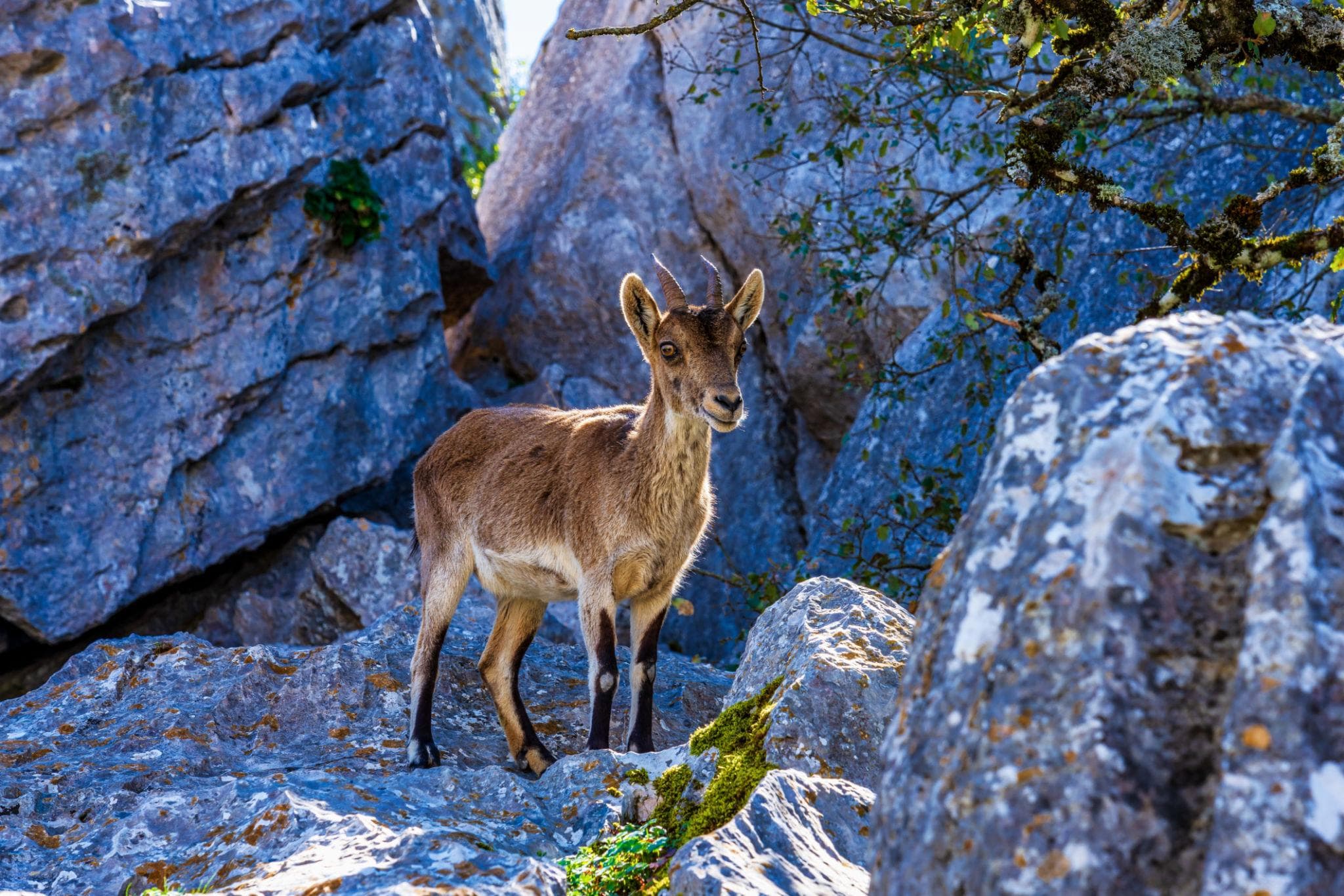 El Torcal de Antequera